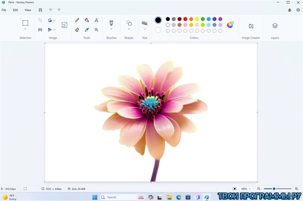 Обзор программы MS Paint на русском языке Обзор программы MS Paint на русском языке